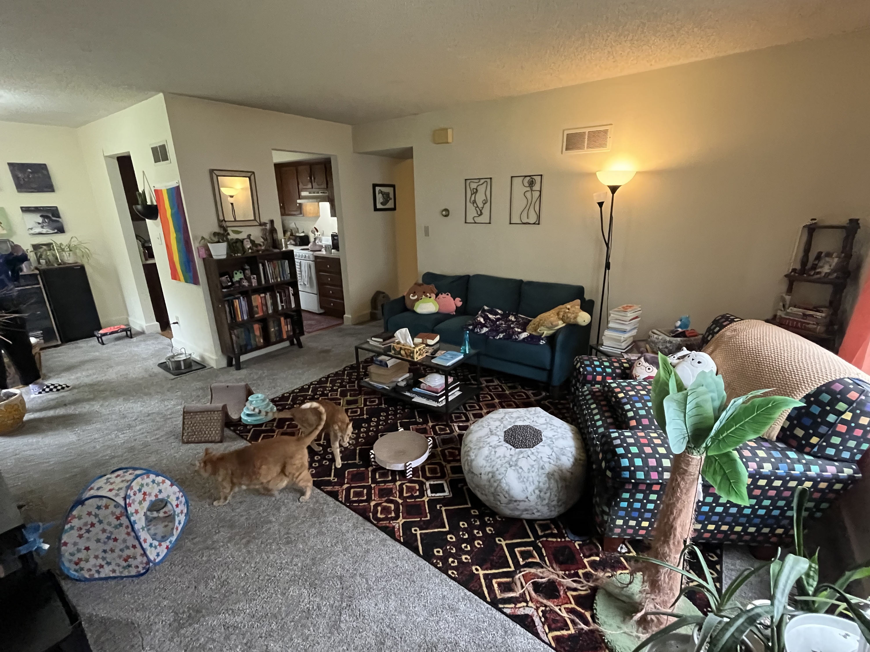 Property thumbnail image